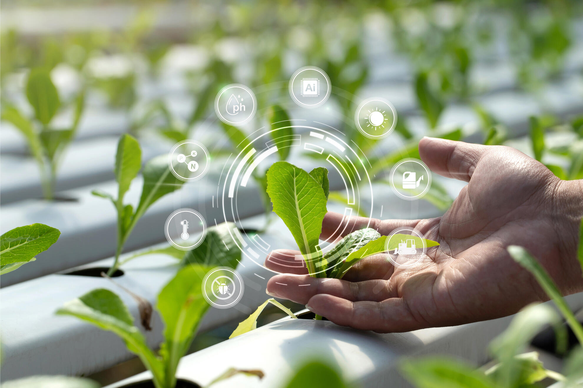 Powered Farm farm management software helps agronomists and farmers measure, track, predict, and prescribe for continuous improvement.